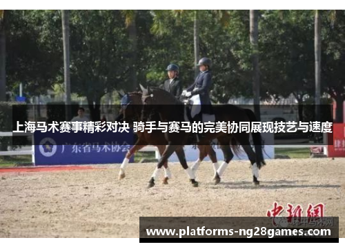 上海马术赛事精彩对决 骑手与赛马的完美协同展现技艺与速度