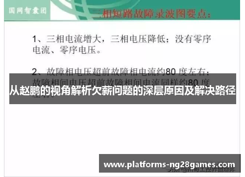 从赵鹏的视角解析欠薪问题的深层原因及解决路径