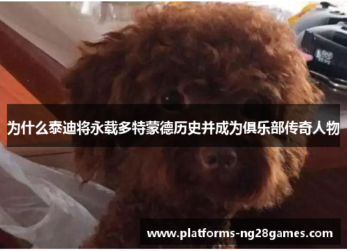 为什么泰迪将永载多特蒙德历史并成为俱乐部传奇人物