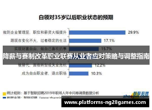 降薪与赛制改革职业联赛从业者应对策略与调整指南