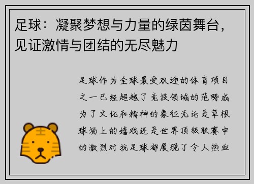 足球：凝聚梦想与力量的绿茵舞台，见证激情与团结的无尽魅力