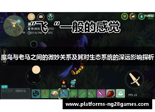 魔鸟与老马之间的微妙关系及其对生态系统的深远影响探析