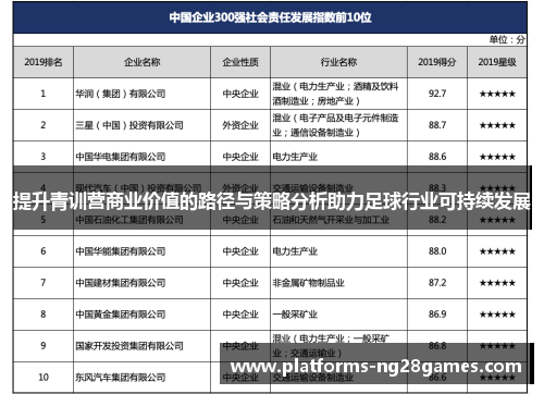 提升青训营商业价值的路径与策略分析助力足球行业可持续发展