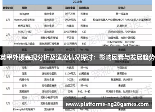 英甲外援表现分析及适应情况探讨：影响因素与发展趋势