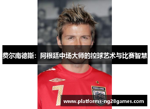 费尔南德斯：阿根廷中场大师的控球艺术与比赛智慧